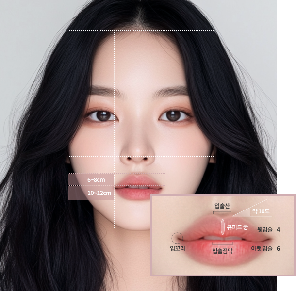리엔장 입술필러 황금비율 모델 이미지