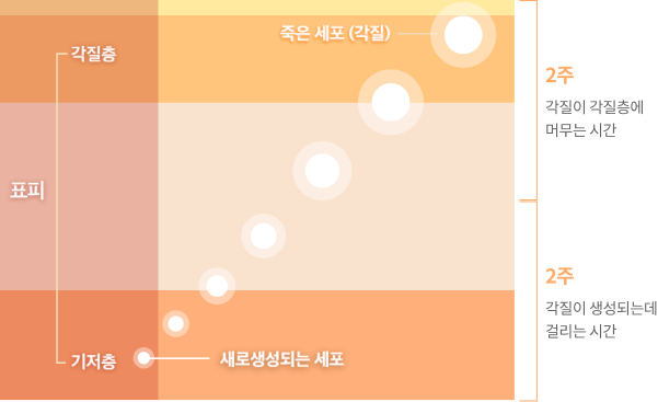 필링케어 이미지