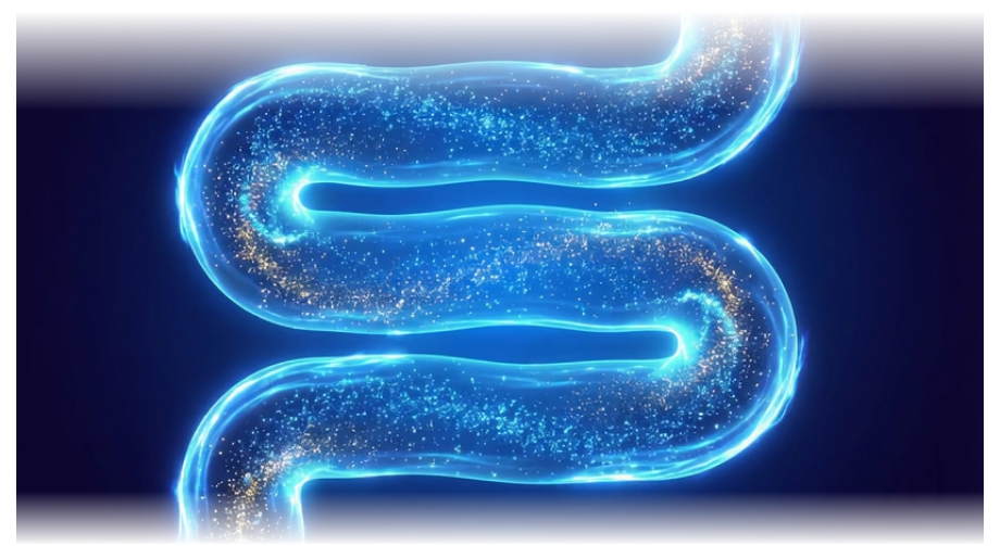 리엔장 1인치플러스주사 상체 시술 부위 모델 이미지