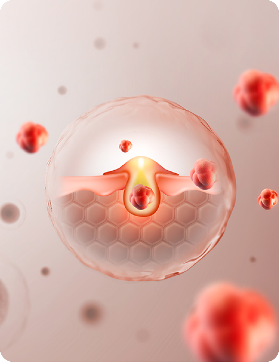 리엔장 여드름케어 소개 모바일 이미지